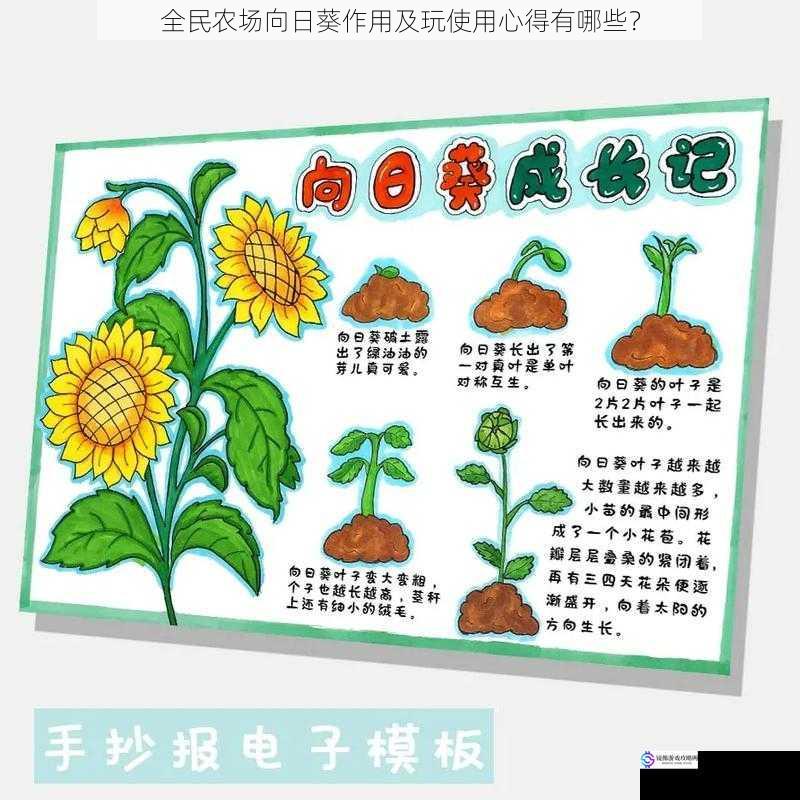 种植与收获:向日葵的基本玩法