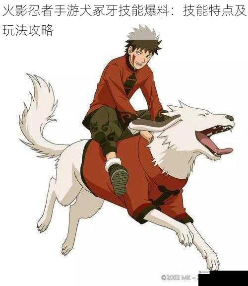 忍犬伙伴:与牙相辅相成
