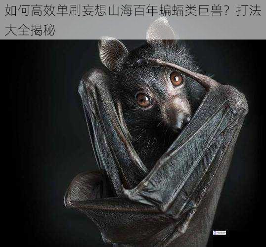 了解蝙蝠类巨兽的习性