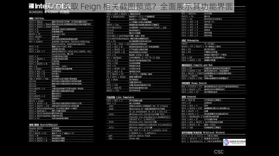通过 IDE 插件获取截图预览