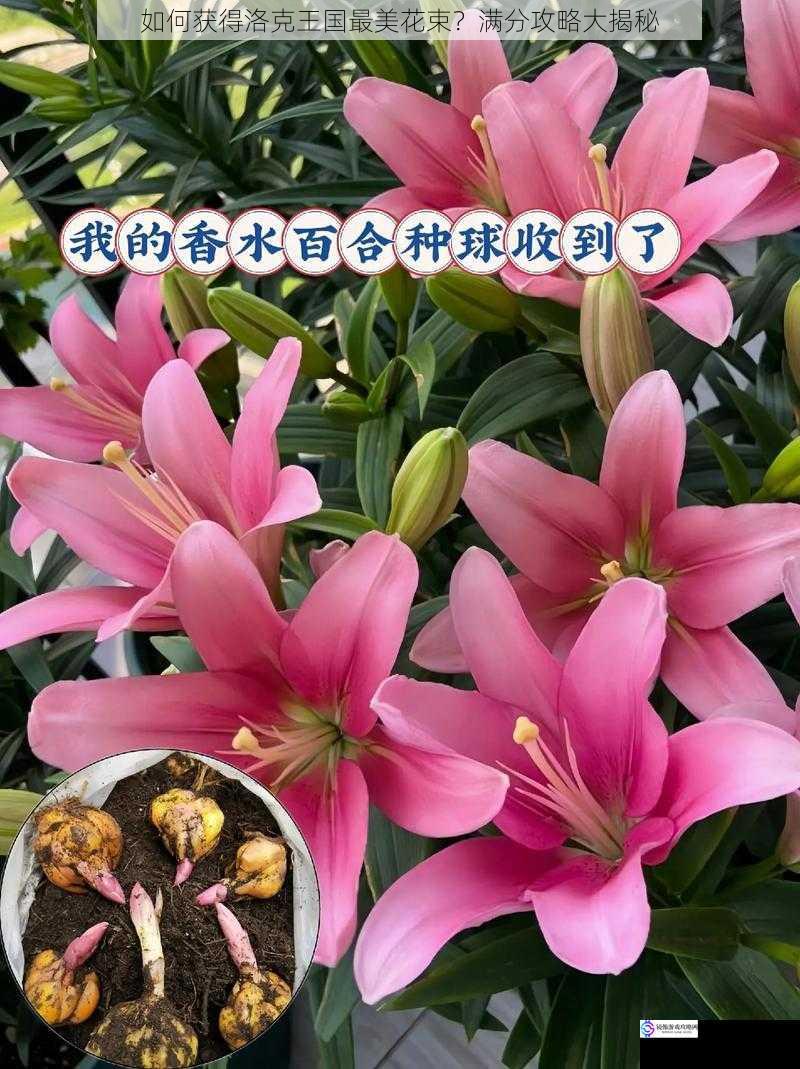 选择合适的花种