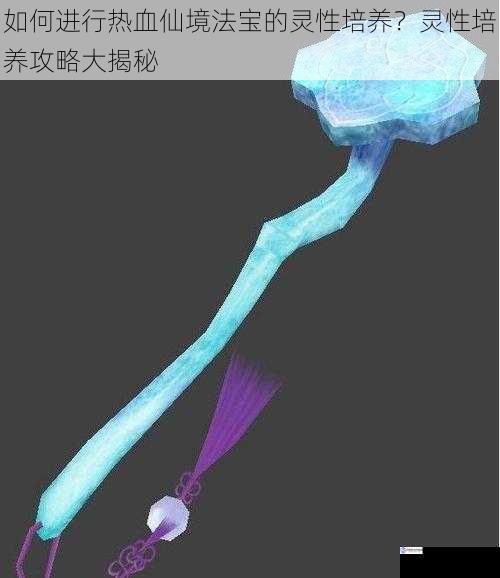 选择合适的法宝