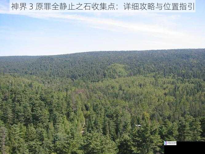 森林区域