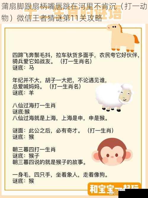 动物特征与谜面的关联