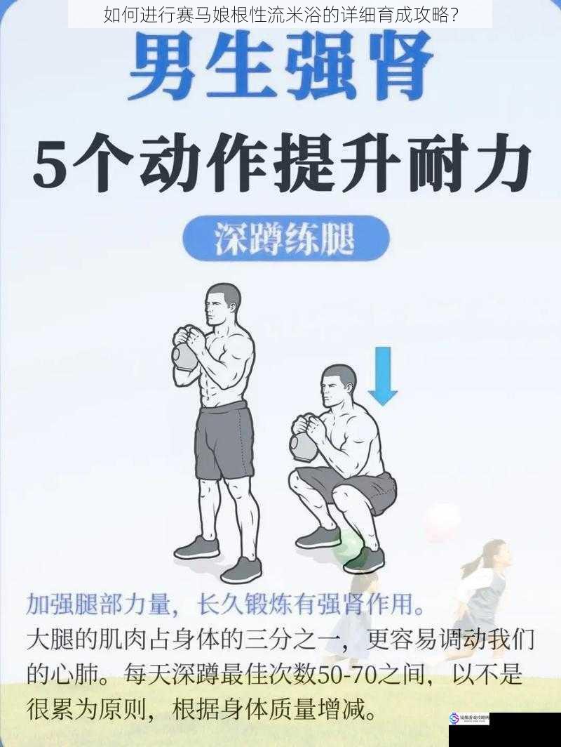 训练:注重基础与耐力