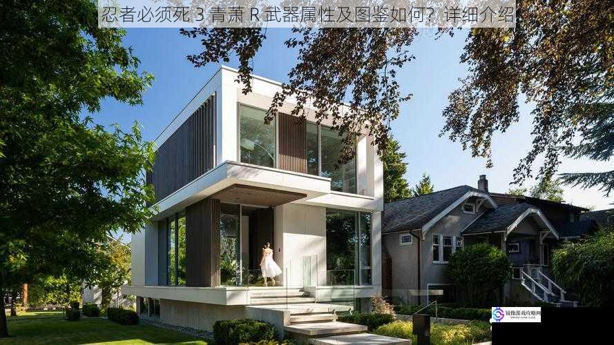 外观设计