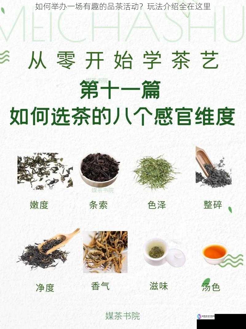 选择合适的茶叶