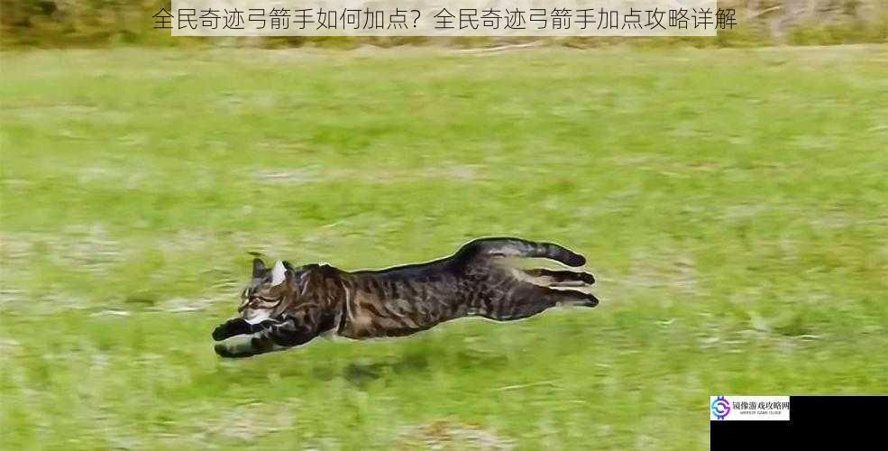 攻击力与敏捷度