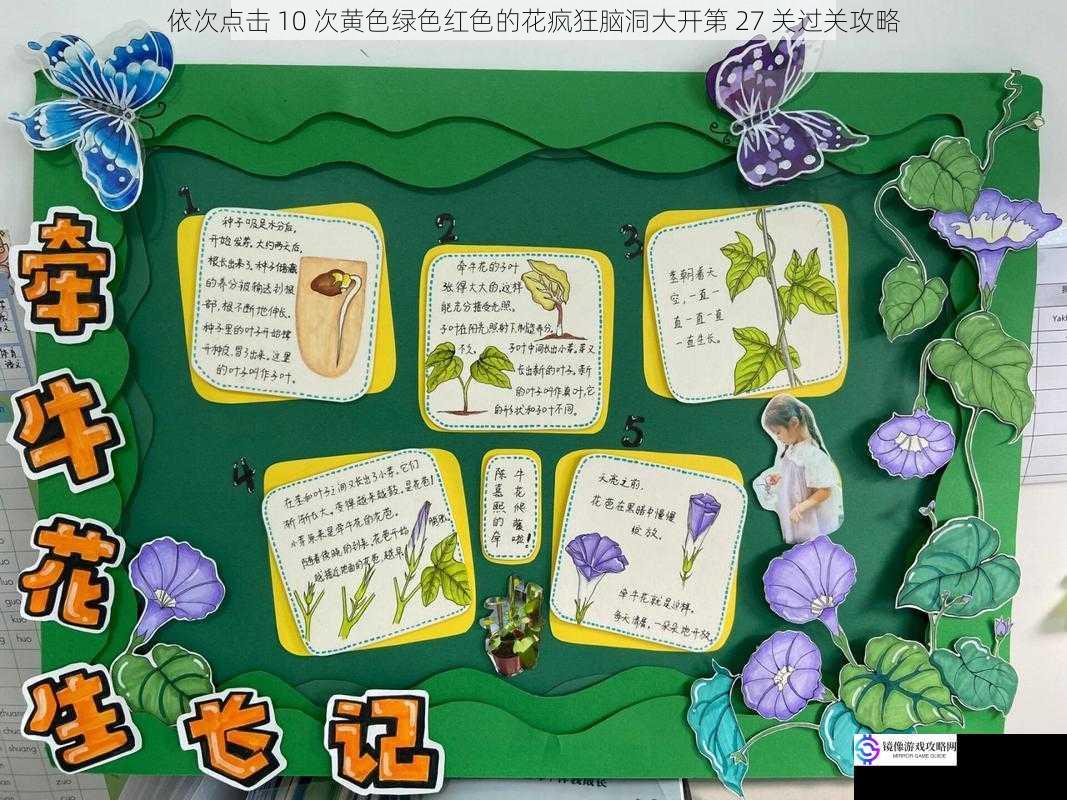 观察花朵顺序