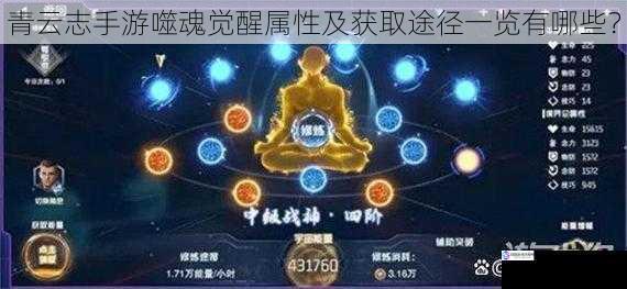 属性提升方面