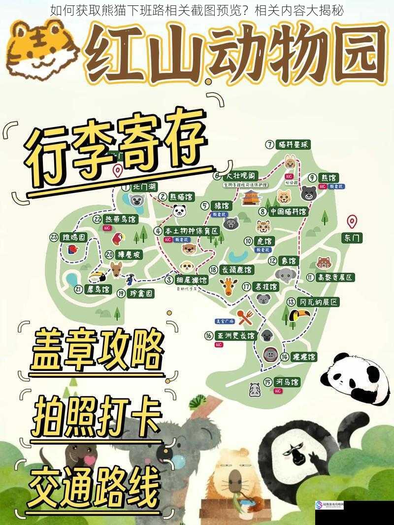通过动物园官方渠道获取