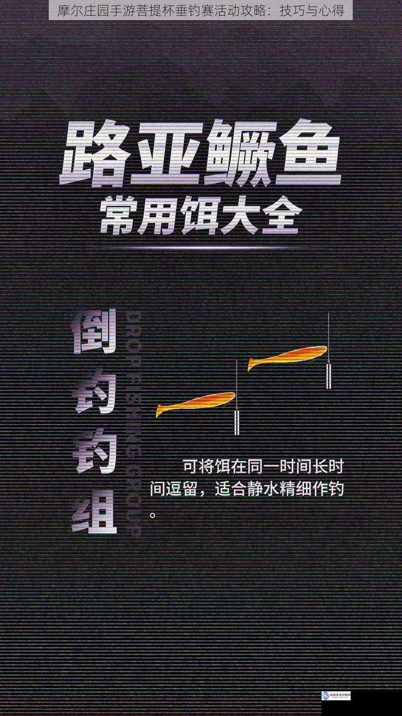 选择合适的鱼竿与鱼饵