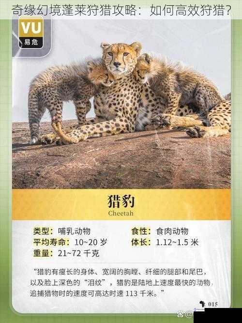 了解猎物习性