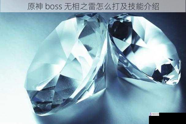 外观与特性