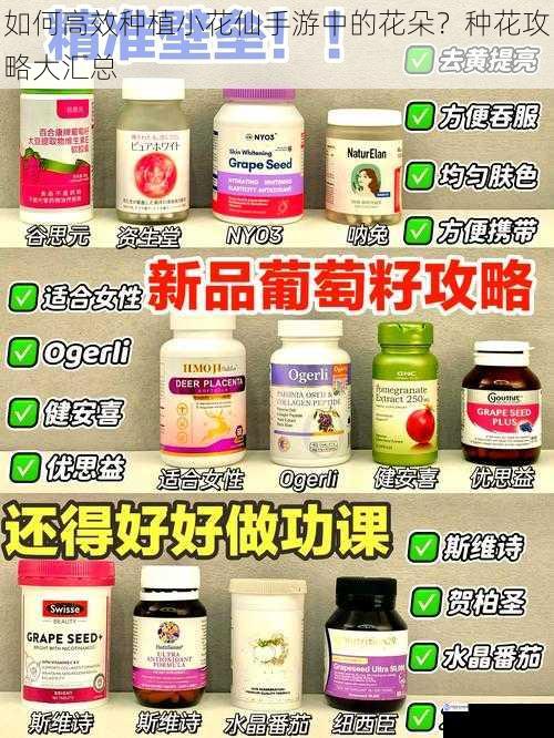 选择合适的种子
