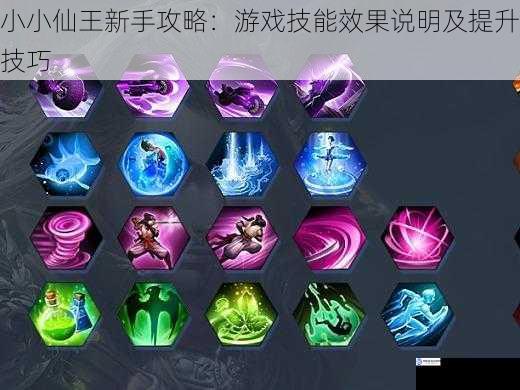 技能类型与效果