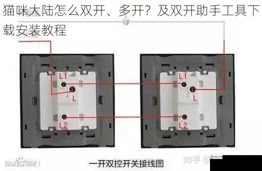双开的原理及必要性