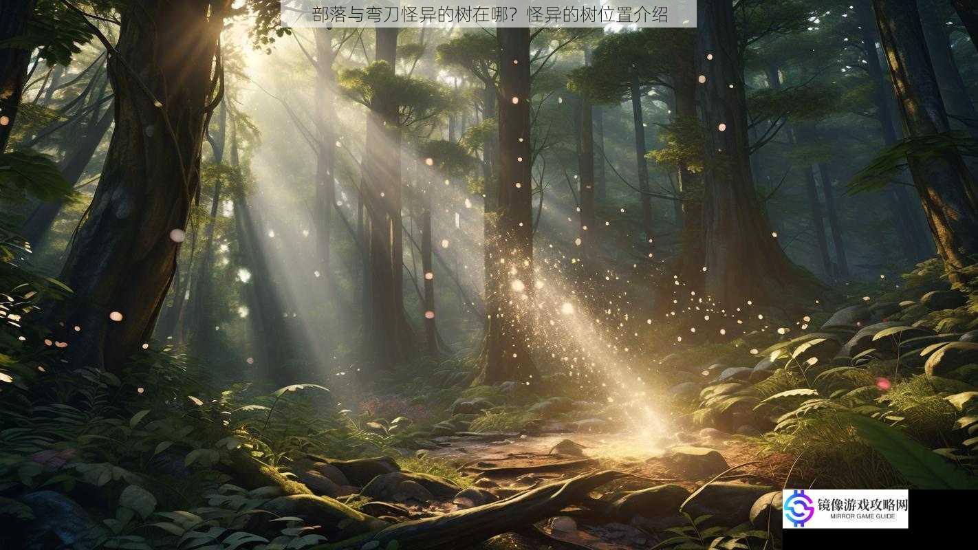 神秘的森林深处