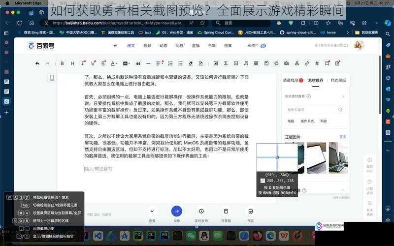 使用游戏内截图功能