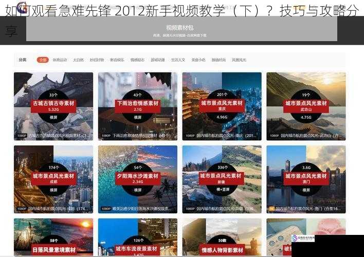 选择合适的视频平台