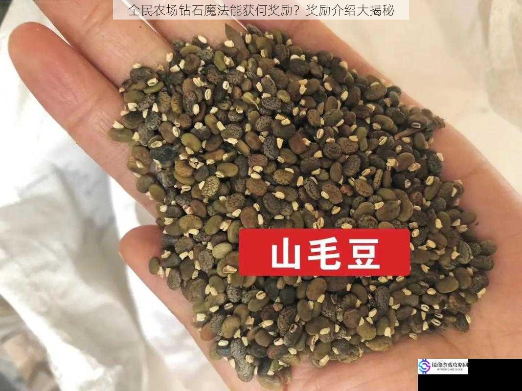 珍稀作物种子