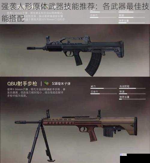 步枪类武器技能搭配