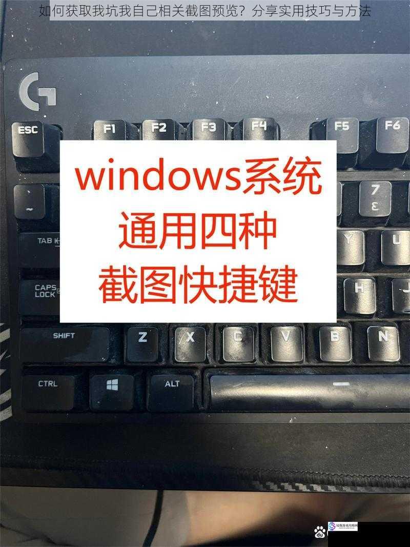 使用快捷键快速截图