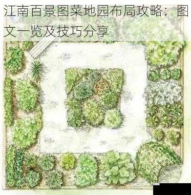 菜地园布局的基本原则