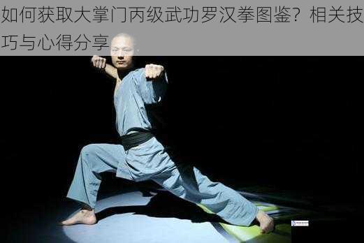 深入了解罗汉拳