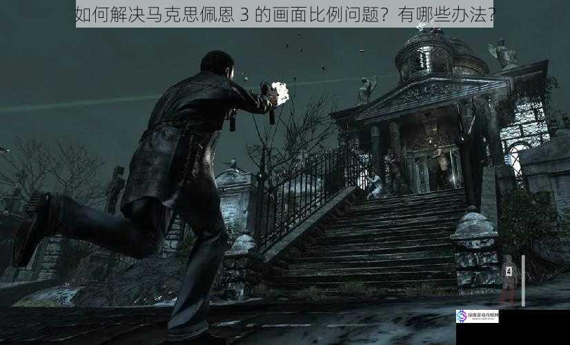 如何解决马克思佩恩 3 的画面比例问题?有哪些办法?