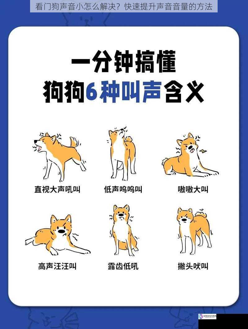 看门狗声音小怎么解决?快速提升声音音量的方法