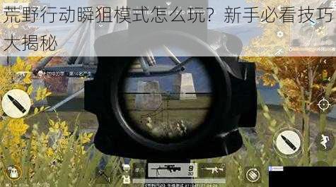 荒野行动瞬狙模式怎么玩?新手必看技巧大揭秘