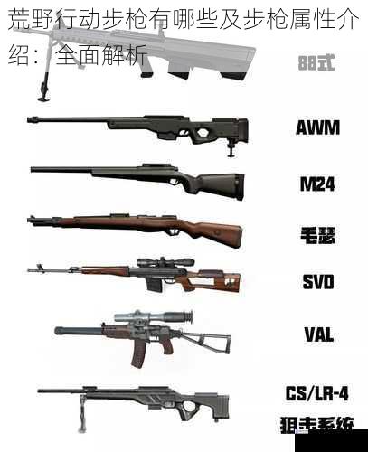 荒野行动步枪有哪些及步枪属性介绍:全面解析