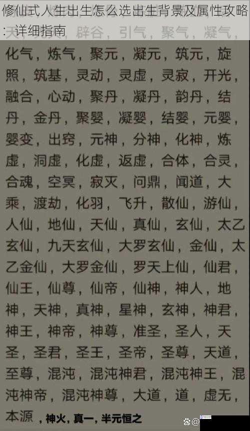 修仙式人生出生怎么选出生背景及属性攻略:详细指南