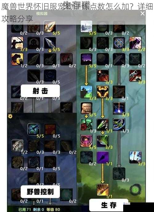魔兽世界怀旧服宠物训练点数怎么加?详细攻略分享