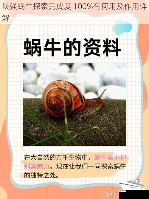 最强蜗牛探索完成度 100%有何用及作用详解