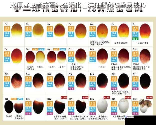 冰原守卫者龙蛋怎么孵化?详细孵化步骤及技巧