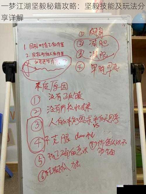一梦江湖坚毅秘籍攻略:坚毅技能及玩法分享详解