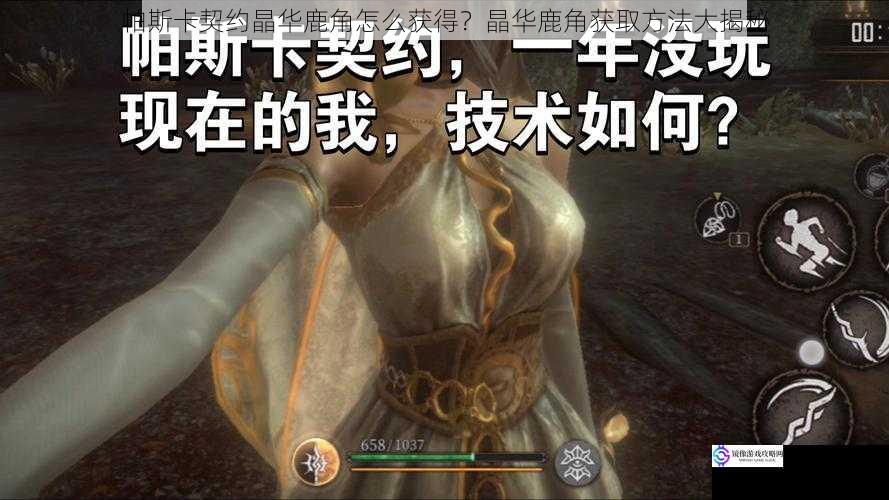 帕斯卡契约晶华鹿角怎么获得?晶华鹿角获取方法大揭秘
