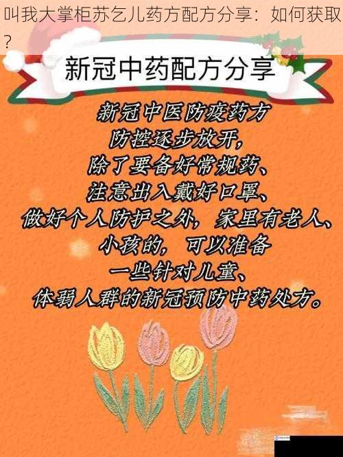 叫我大掌柜苏乞儿药方配方分享:如何获取?