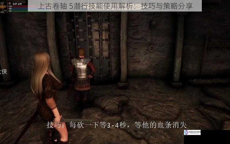 上古卷轴 5潜行技能使用解析:技巧与策略分享