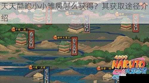 天天酷跑小小雏凤怎么获得?其获取途径介绍