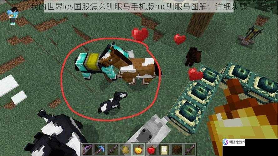 我的世界ios国服怎么驯服马手机版mc驯服马图解:详细步骤