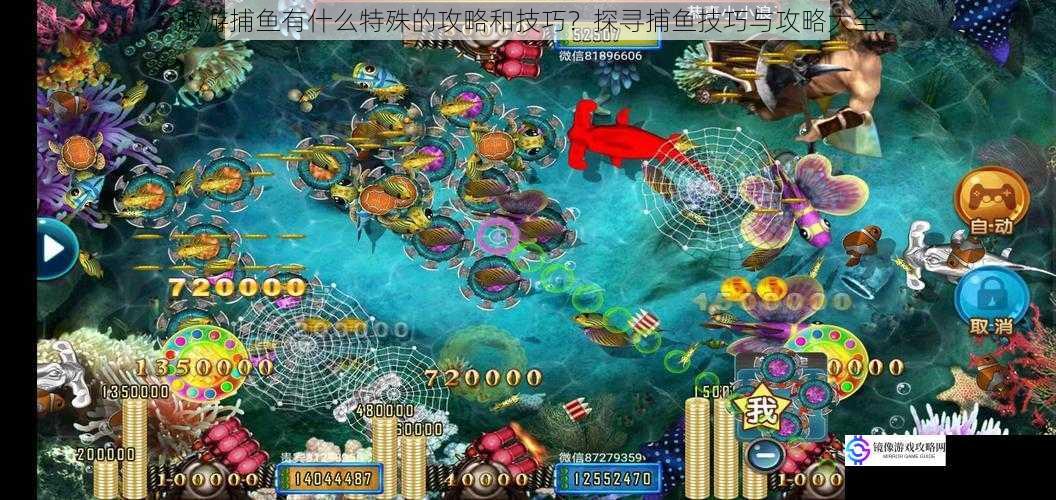 趣游捕鱼有什么特殊的攻略和技巧?探寻捕鱼技巧与攻略大全