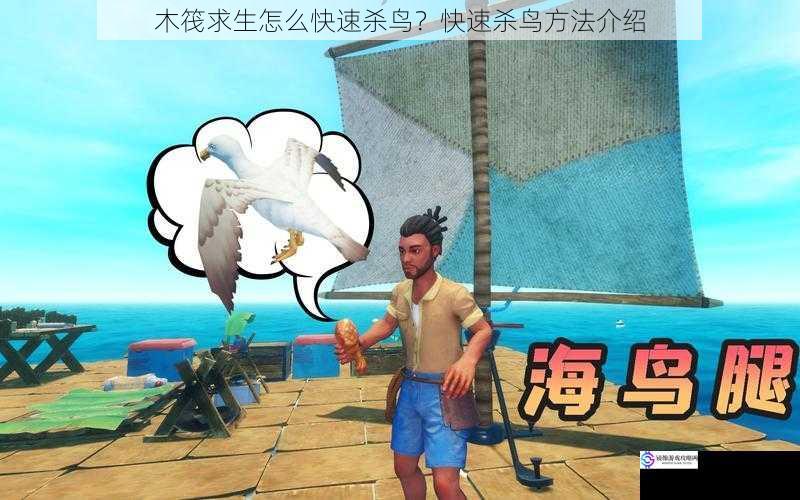 木筏求生怎么快速杀鸟?快速杀鸟方法介绍