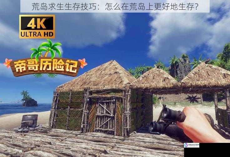 荒岛求生生存技巧:怎么在荒岛上更好地生存?
