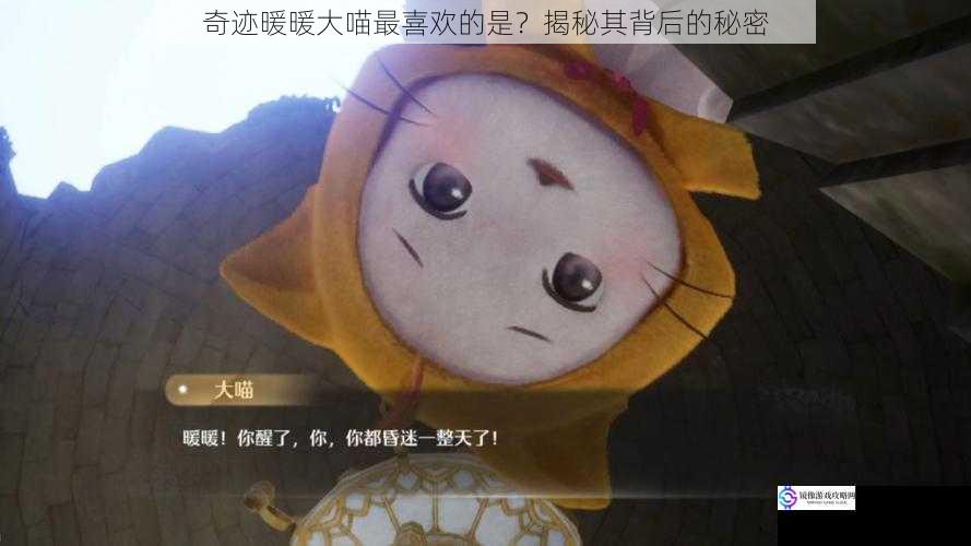 奇迹暖暖大喵最喜欢的是?揭秘其背后的秘密