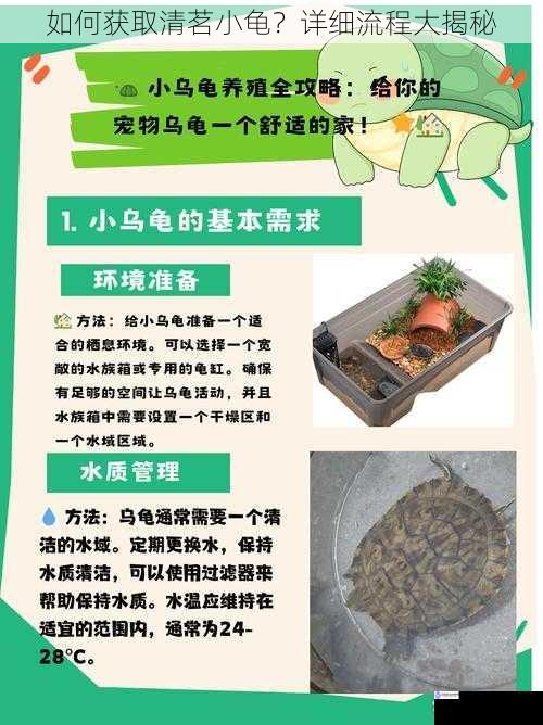 如何获取清茗小龟?详细流程大揭秘