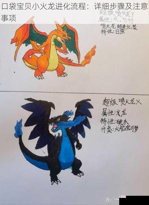 口袋宝贝小火龙进化流程:详细步骤及注意事项
