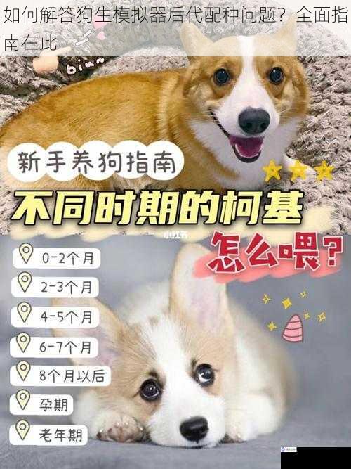 如何解答狗生模拟器后代配种问题?全面指南在此